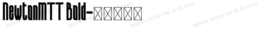 NewtonMTT Bold字体转换